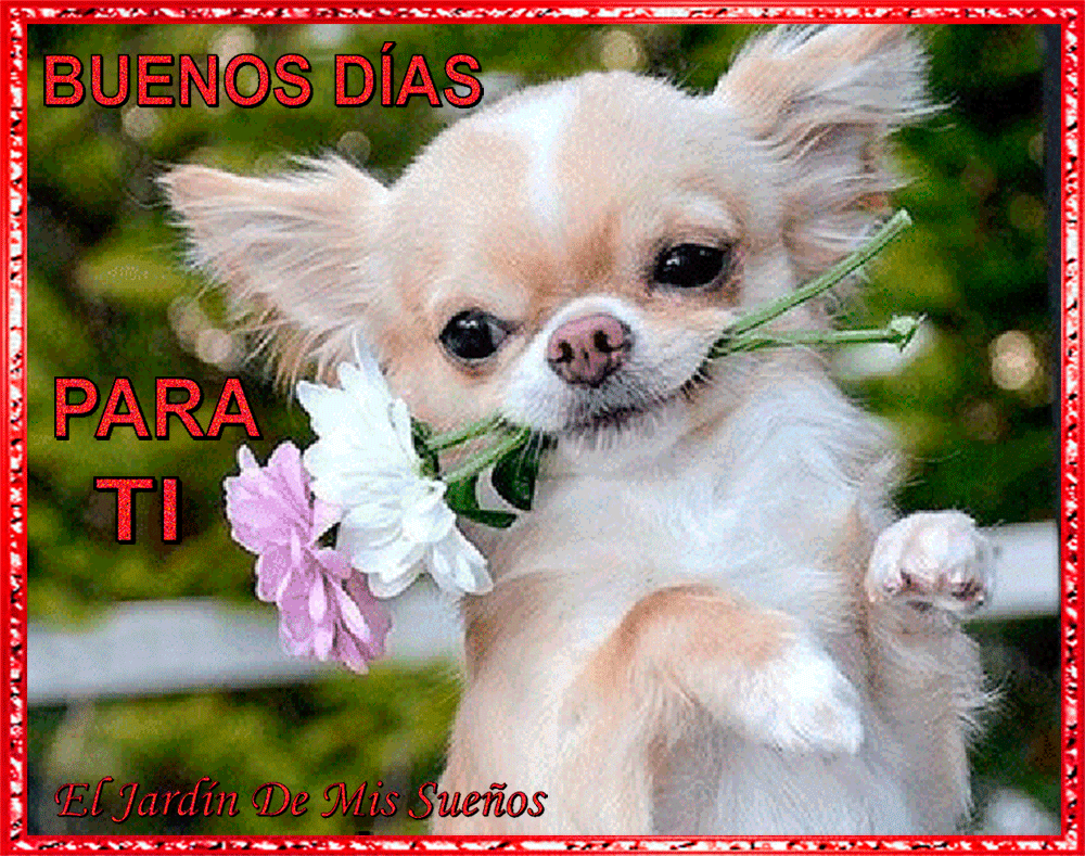 Imagen relacionada
