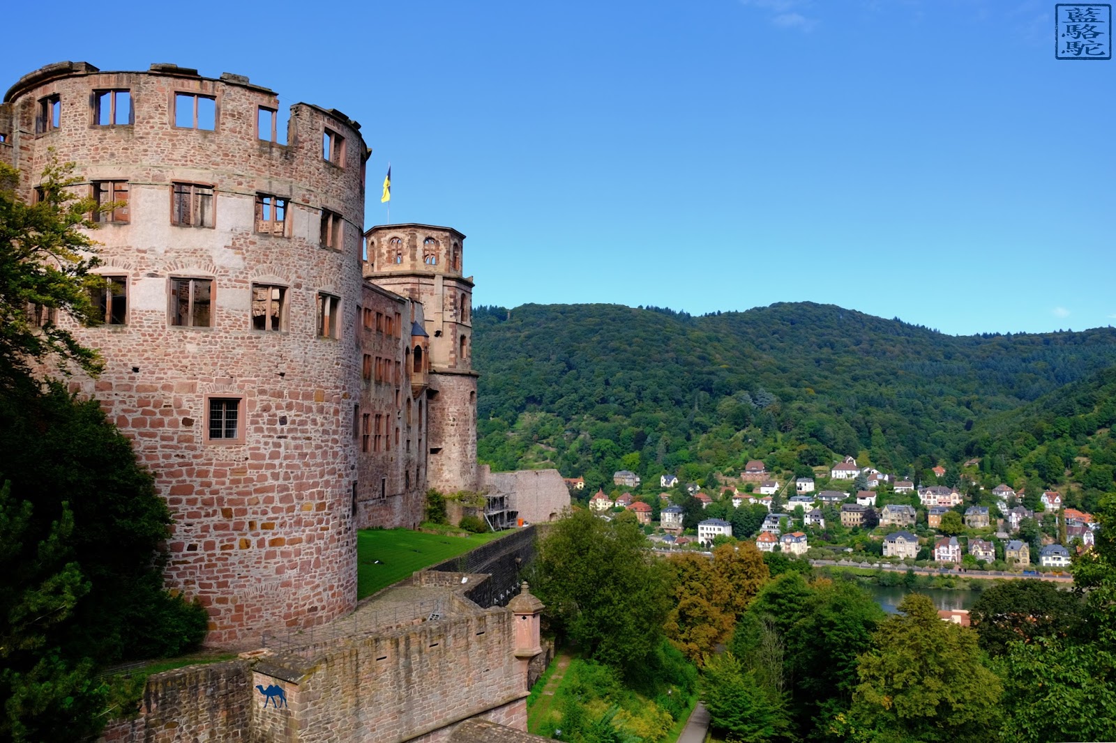 Le Chameau Bleu - Chateau d'Heidelberg - Tour Voyage en Allemagne Le Chameau Bleu - Chateau d'Heidelberg - Tour Voyage en Allemagne