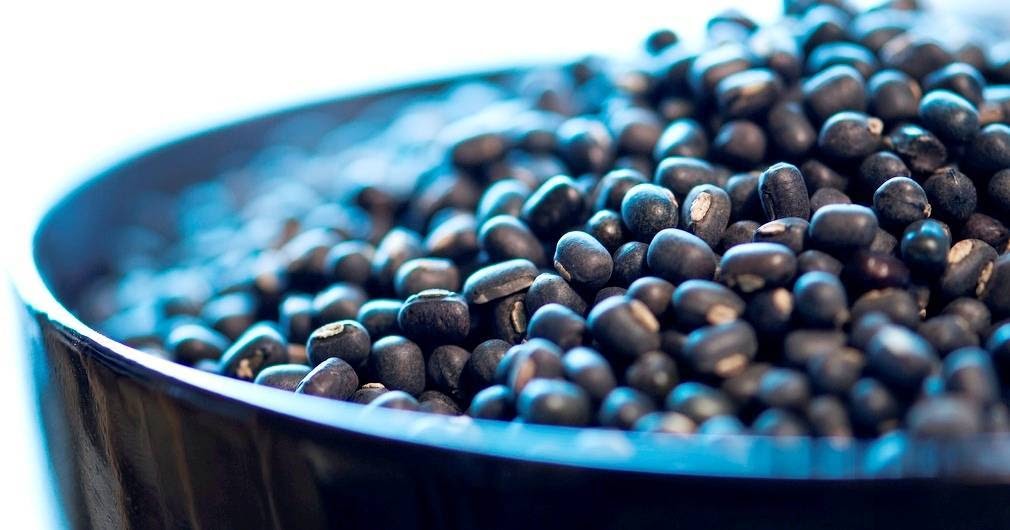 Myanmar Business Health And Nutritional Benefits Of Black Matpe Beans