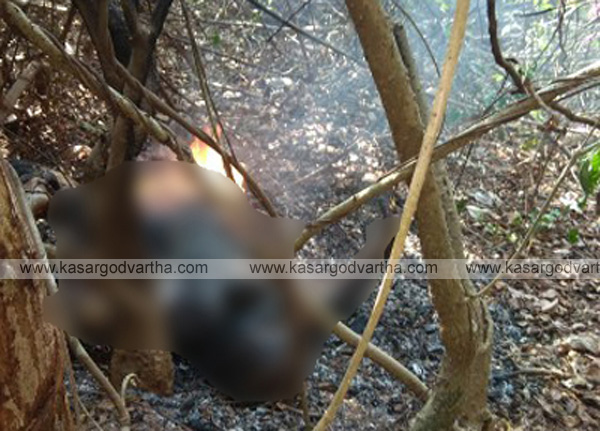 Burnt body found near railway track, murder or suicide not known Burnt body found near railway track, murder or suicide not known, Mangalore, news, National, Top-Headlines, Deadbody, Railway-track, police-station, Police, Postmortem, enquiry, hospital, Burnt