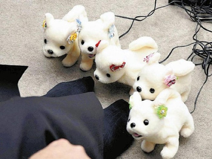 Kecanggihan Robot Anjing Yang Bisa Mendeteksi Bau Kaki Yang Tak Sedap Kecanggihan Robot Anjing Yang Bisa Mendeteksi Bau Kaki Yang Tak Sedap