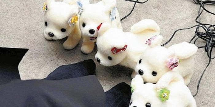 Kecanggihan Robot Anjing Yang Bisa Mendeteksi Bau Kaki Yang Tak Sedap