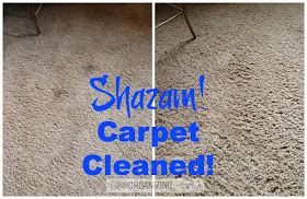 Carpet Cleaning with all natural ingredients :: OrganizingMadeFun.com