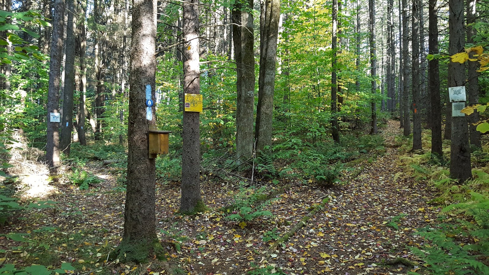 Sara Hikes... But Not Enough North Country Trail Stoney Brook Road