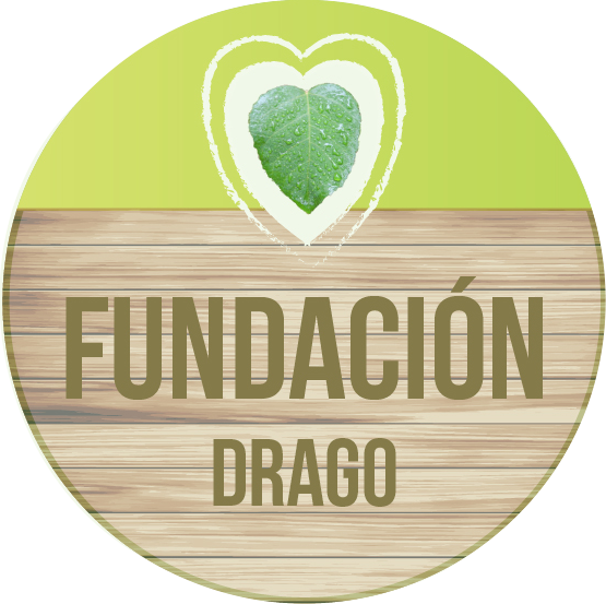 Fundación Drago
