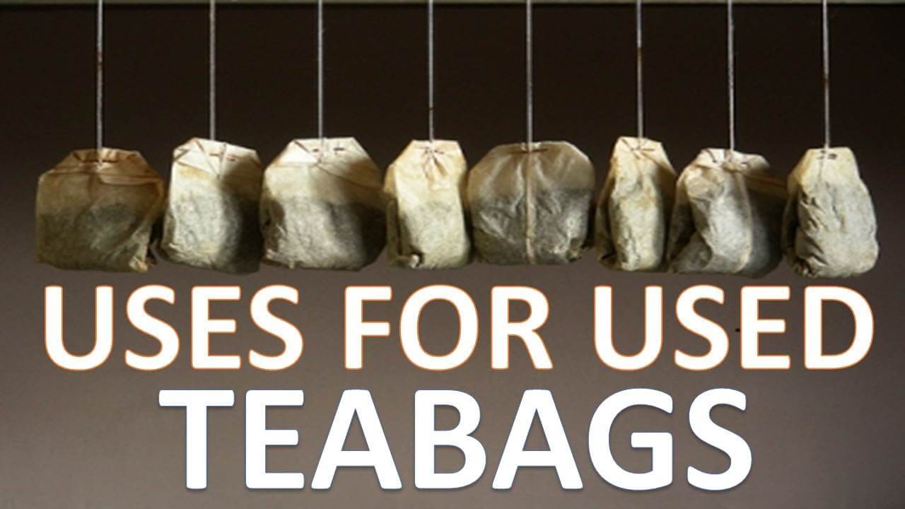 Don’t Throw Away Your Tea Bags Here are 17 Things You Can Do Instead