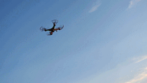 Noch ein kleiner Höhenflug... Noch ein kleiner Höhenflug...