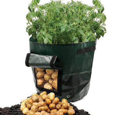 Potato Grow Bag