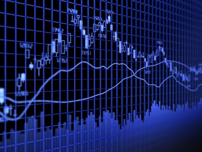 Forex bisnis