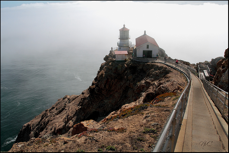 Ảnh Nghệ Thuật Ants: Pont Reyes Lighthouse - Photo by Nguyễn Văn Chu