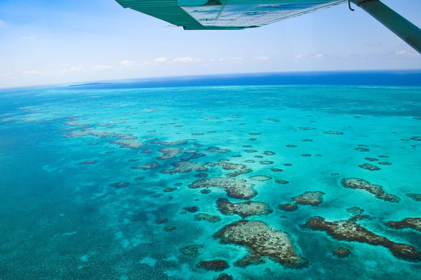 belize barrier reef