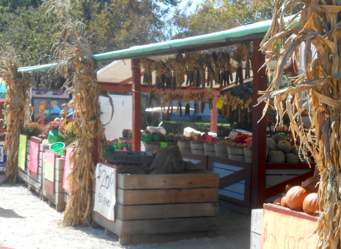 Pennsylvania & Beyond Travel Blog Myers Farms Farmer's Market in