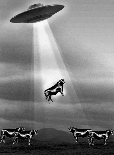 Heaven Can Wait - Unexplained Cow Abductions in Roswell!