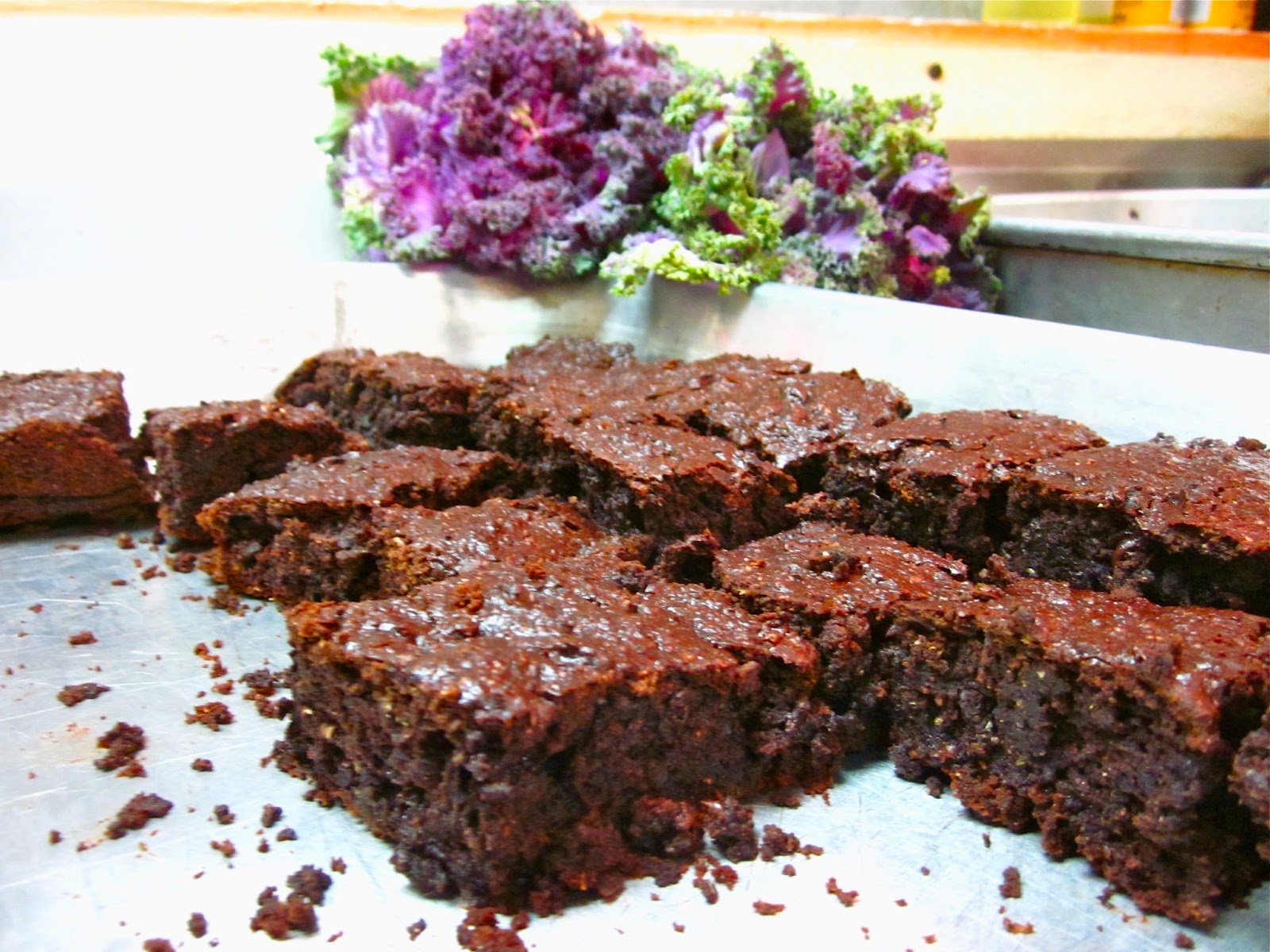 Camp Natoma Week 3 Kale Brownies