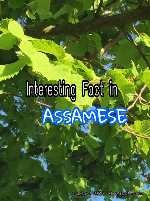 Interesting Fact in Assamese