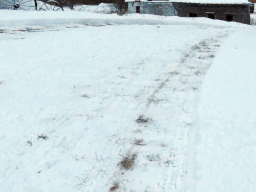 driveway in snow