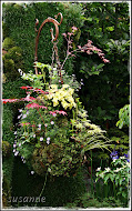 hanging basket