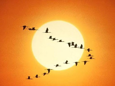IMAGENES: FOTOS, PINTURA Y DIBUJOS DE SOL