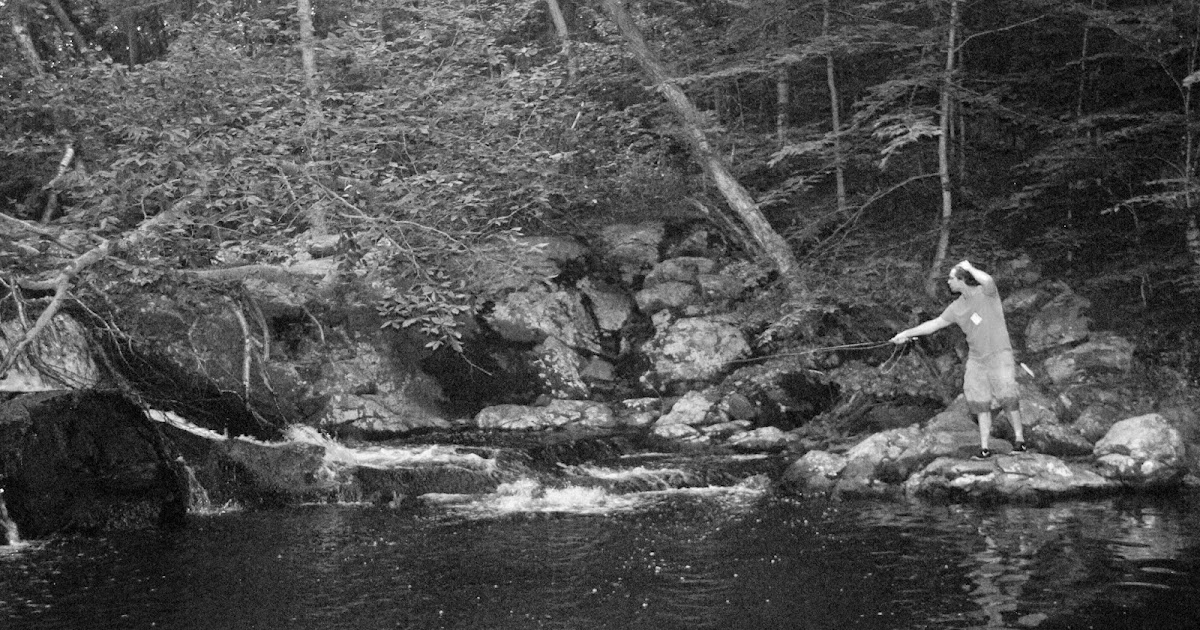 Litton's Fishing Lines New Jersey Highlands Wild Brown Fly Fishing