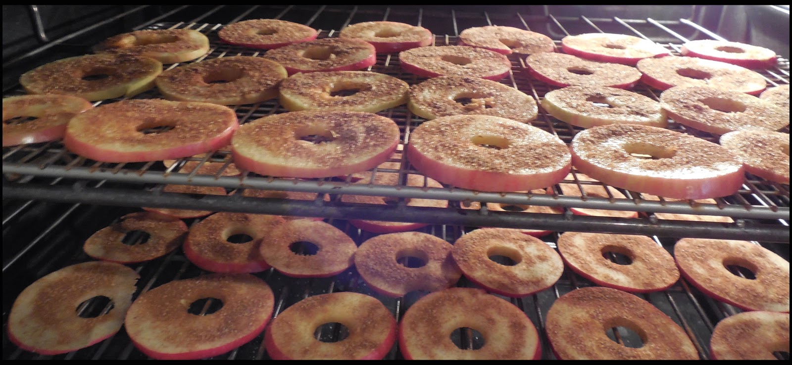 Delicious OvenDried Apple Chips Easy, Healthy and Delicious! A