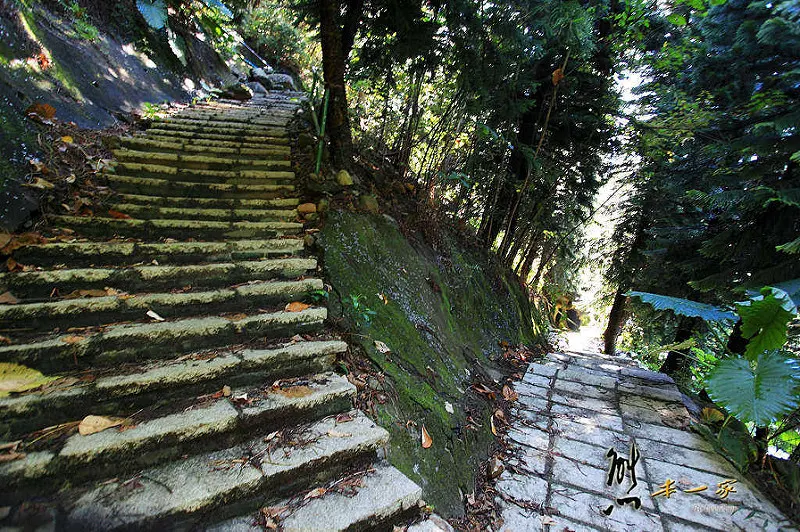天空步道|莫那魯道巨人像|賽德克故事館|滴水觀音|泰雅渡假村|南投私房景點