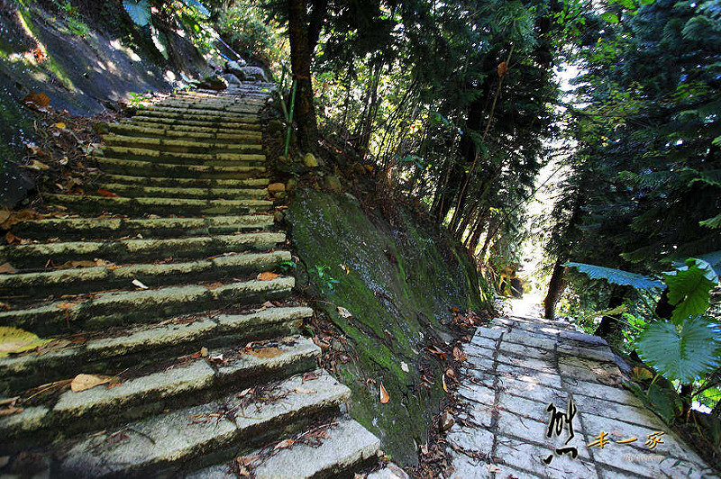 天空步道|莫那魯道巨人像|賽德克故事館|滴水觀音|泰雅渡假村|南投私房景點