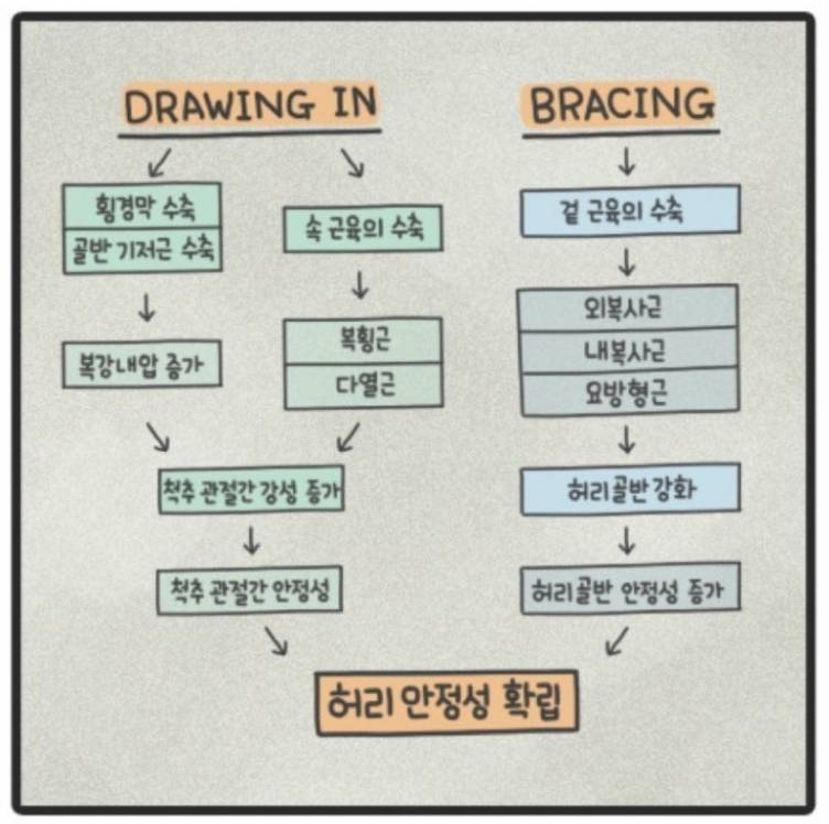 코어 근육의 중요성