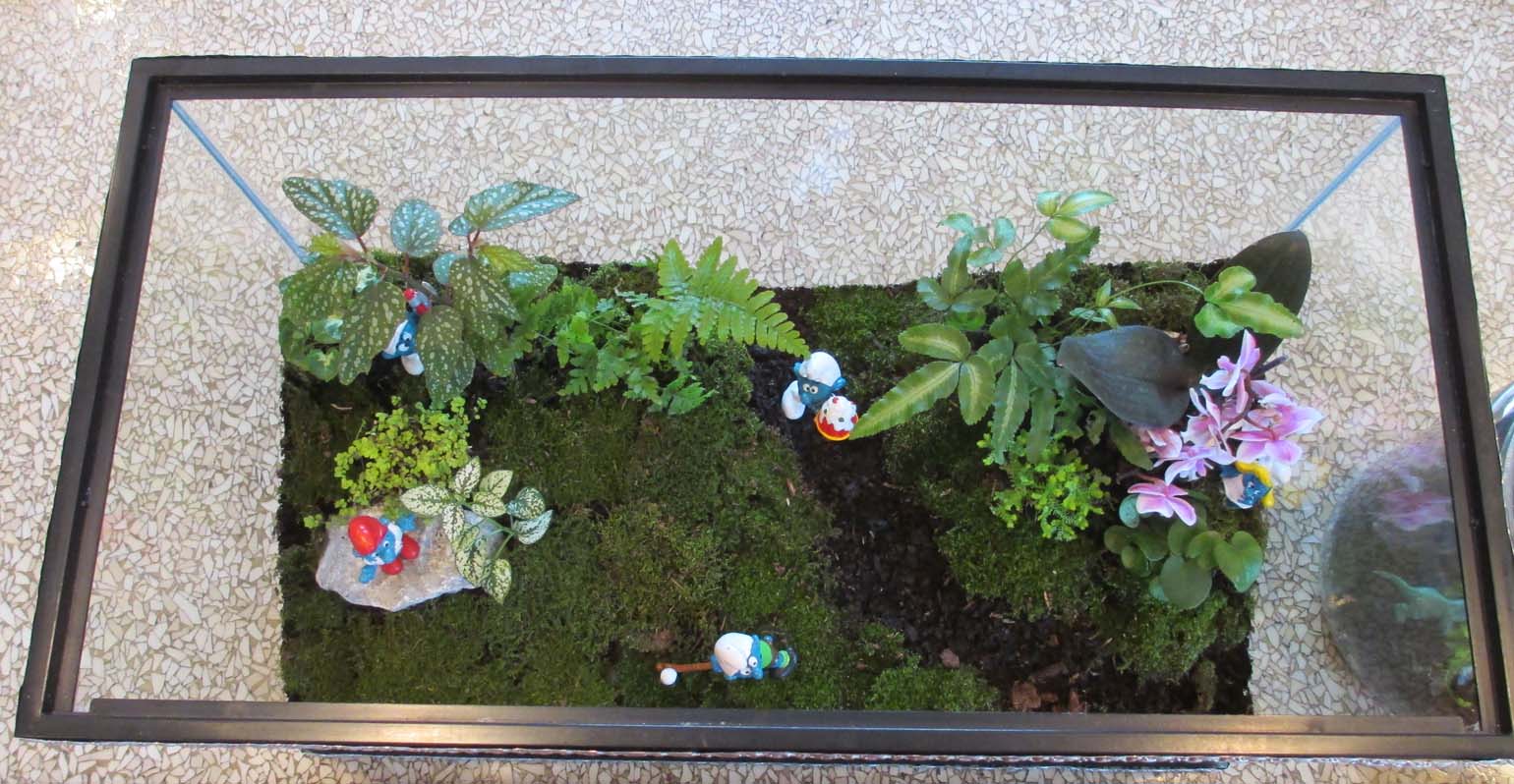 Garden Fancy Terraria Mania