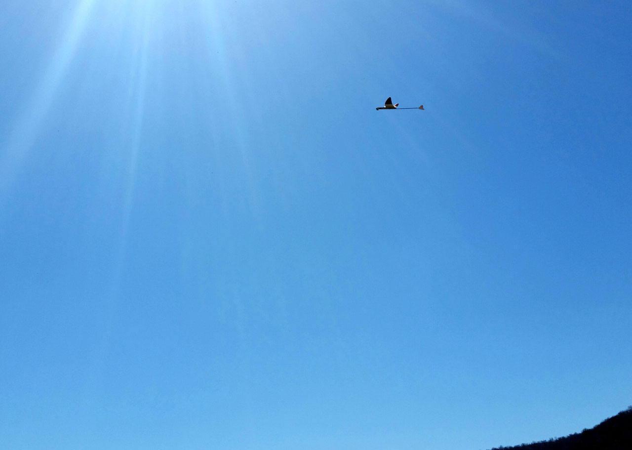 Ramblings Free Flight Hand Launch Glider Story