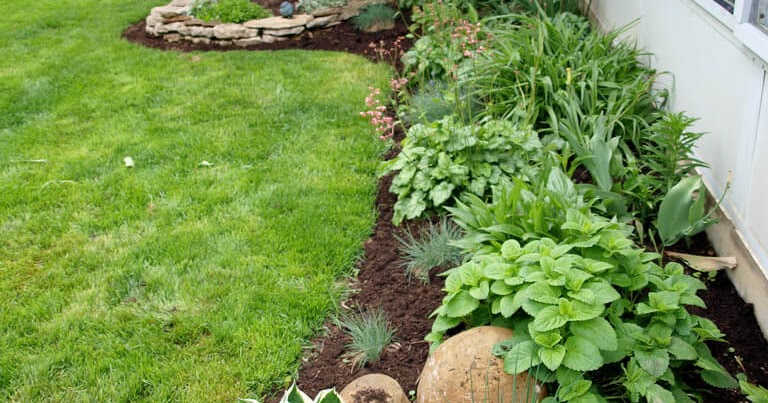 A Little Bit of This, That, and Everything: landscaping