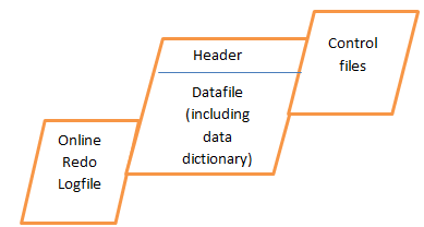 Module 1: Oracle Physical Database architecture: Basic Oracle Physical ...