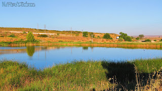 NaturAranjuez 20150725 Paseo por el Mar de Ontígola