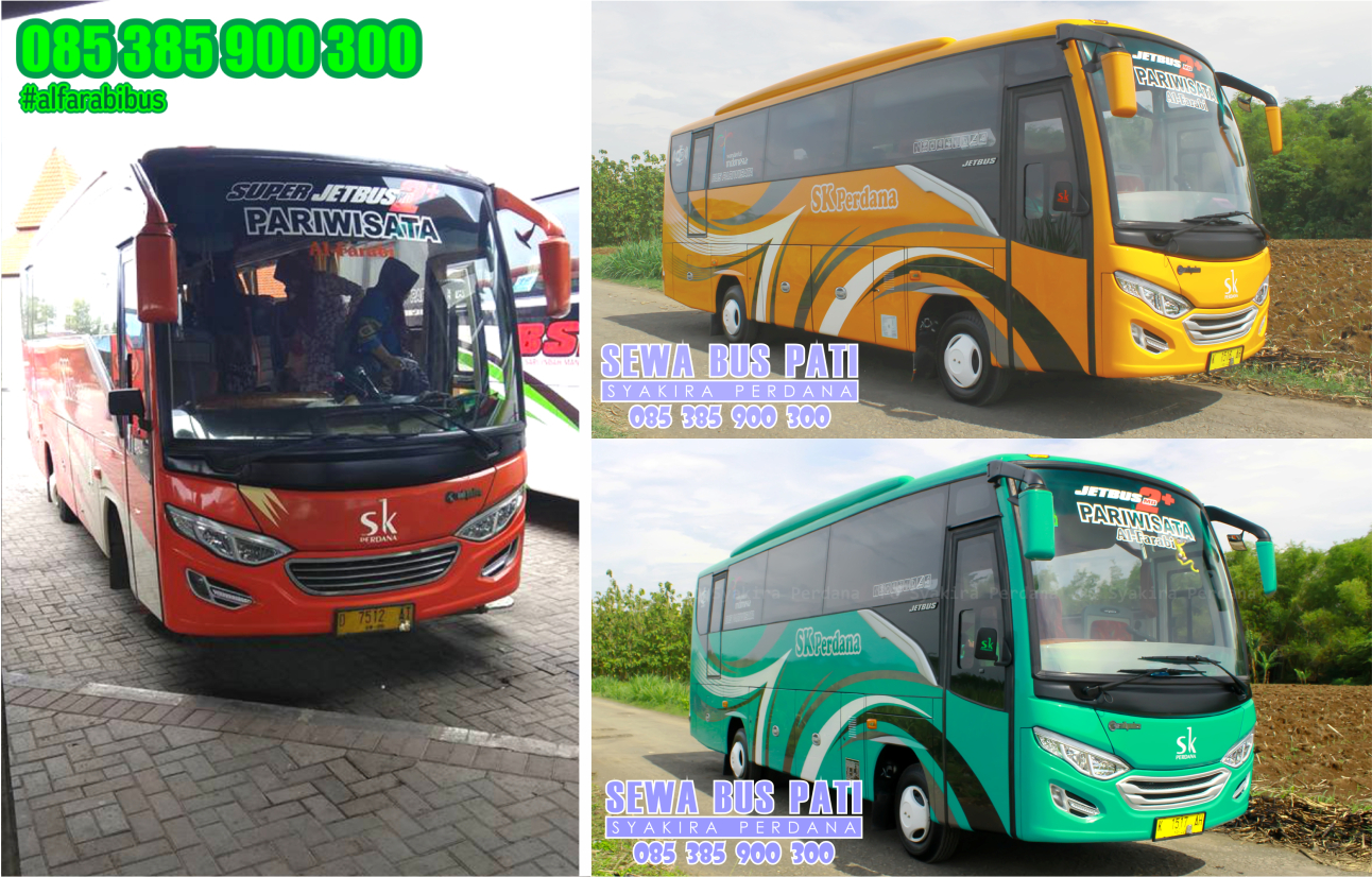 Po Bus Medium Pariwisata: Solusi Transportasi Fleksibel dan Efisien untuk Perjalanan Anda