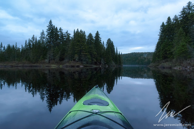 photographie, jeremie leblond-fontaine, kayak, parc national de la mauricie, faune sauvage, oiseaux, animaux, quebec, canada, huards, orignaux, urubus à tête rouge