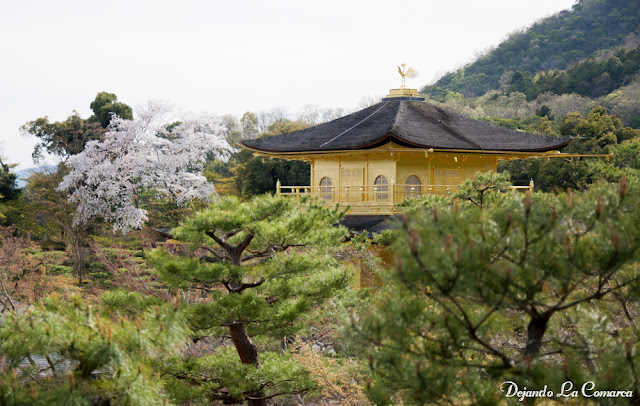 Día 14 - Kyoto (Arashiyama) - Japón primavera 2016 - 18 días (con bajo presupuesto) (23)
