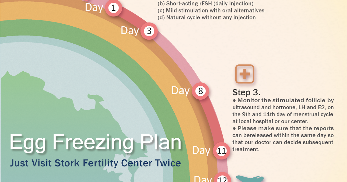 The Procedure of Egg Freezing (Overseas) Stork Fertility Center