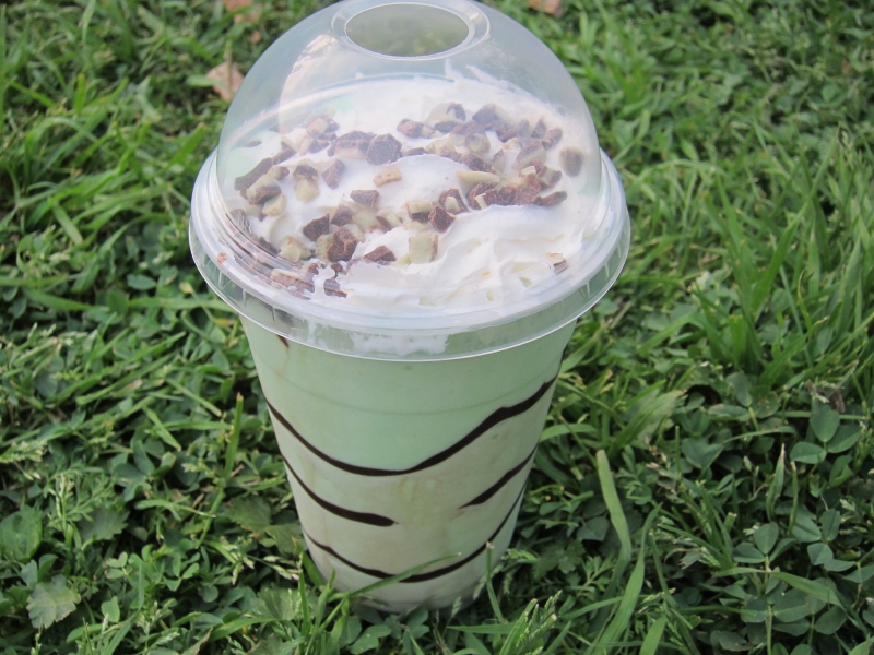 Review Arby's Mint Chocolate Swirl Shake