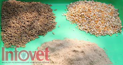 Bahan Baku Pakan Berkualitas, Produktivitas Ternak Optimal (Bag. I