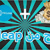 شرح مفصل لموقع hitleap وكيفية الربح منة