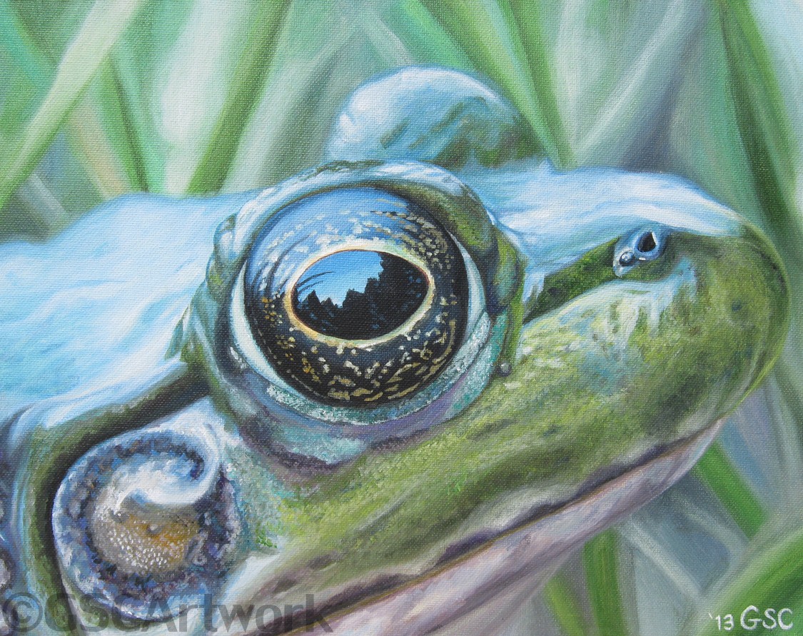 green frog animal amphibian acrylic painting art