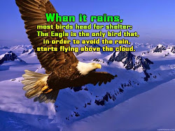 quotes flying above birds eagle shelter head rains rain bird starts eagles quotesgram motivational