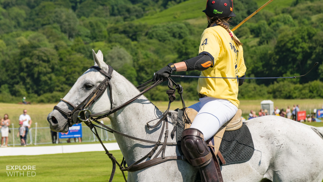 Pony and Polo Player