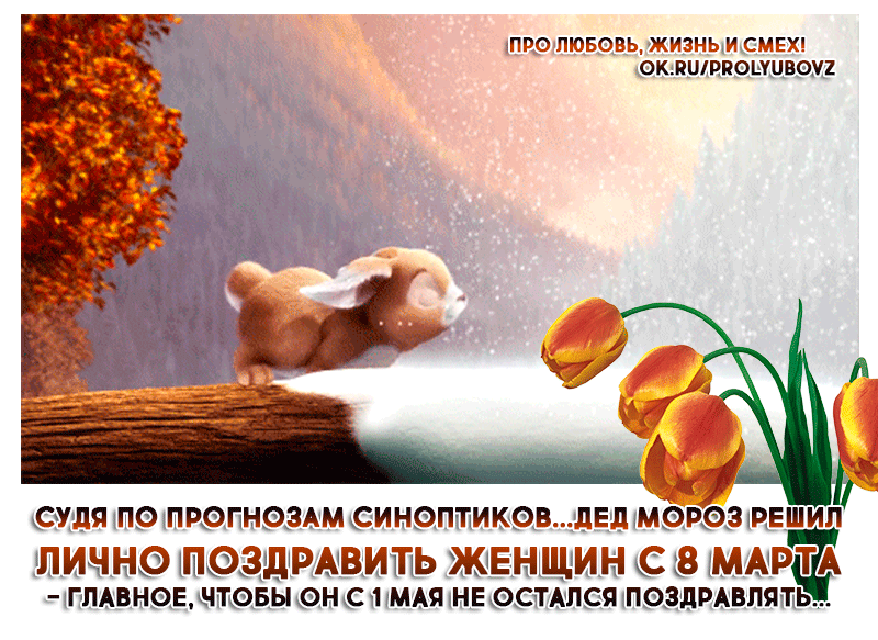 Интересные гифы про жизнь