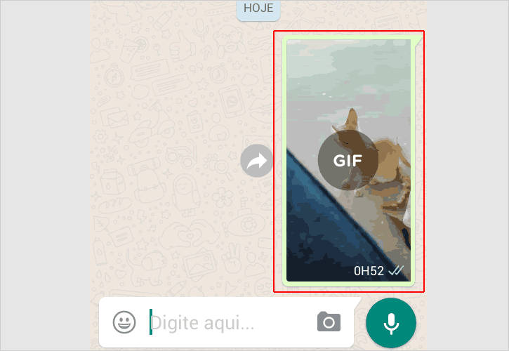 Vídeo convertido em GIF no WhatsApp foi enviado para o contato