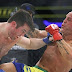 FOX Sports alcança liderança com combate Wanderlei Silva e Chael Sonnen