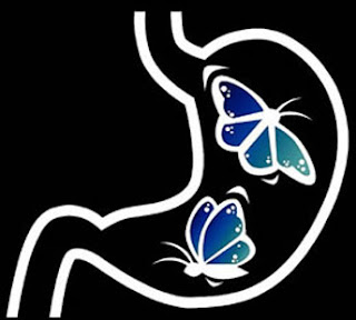 sentir mariposas en el estomago sentir mariposas en el estómago cuando estás enamorado