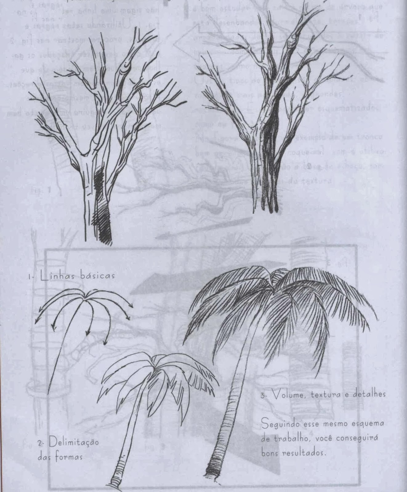 Como Desenhar Arvores Realistas - BRAINCP