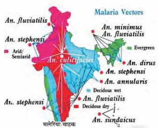 मलेरिया नियंत्रण, मलेरिया रोग, मलेरिया उपचार, मलेरिया कैसे होता है, मलेरिया होने पर क्या करे, मलेरिया में क्या खाये, मलेरिया का आयुर्वेदिक उपचार, मलेरिया ट्रीटमेंट, राष्ट्रीय मलेरिया नियंत्रण कार्यक्रम