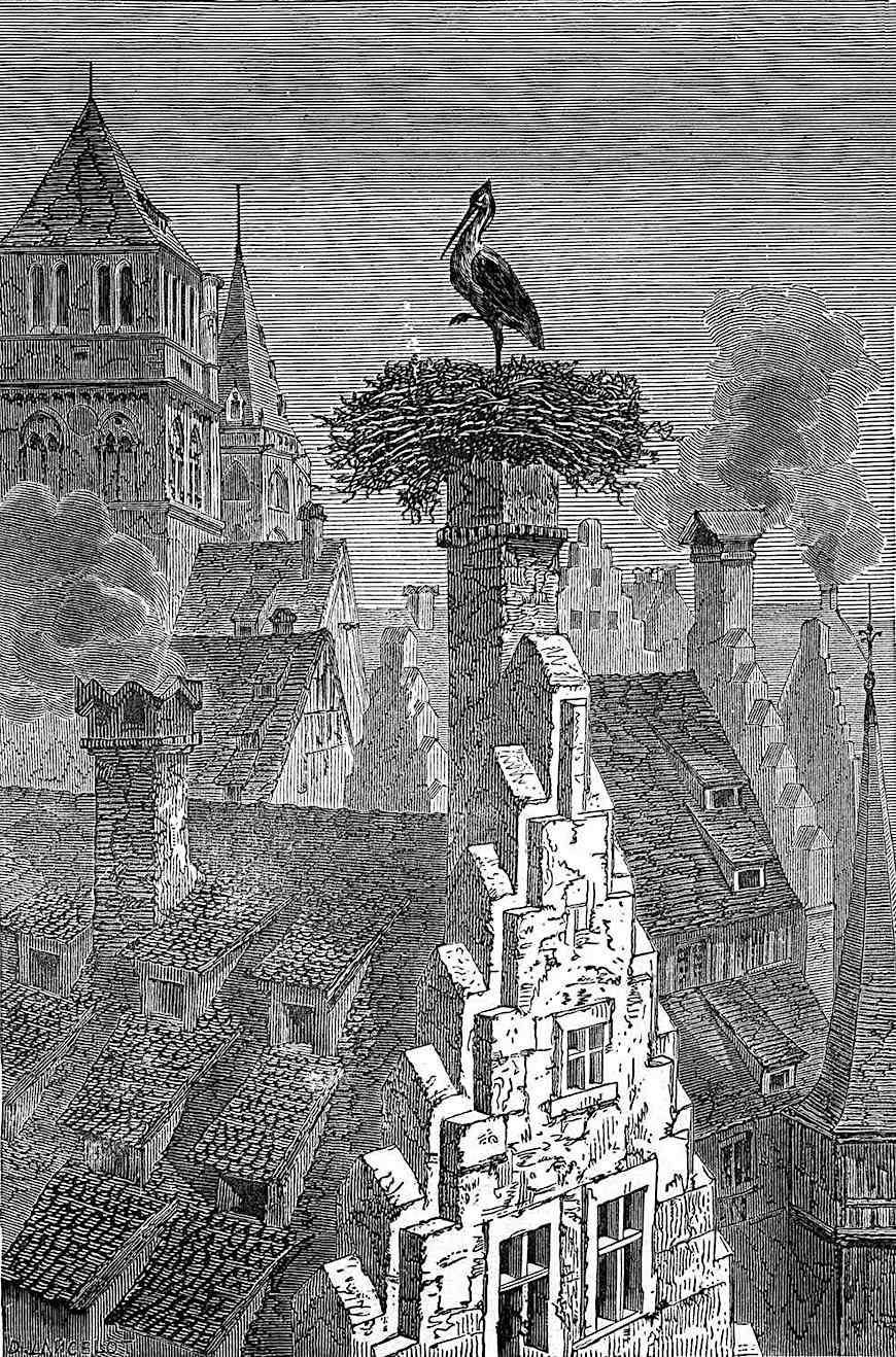 crane on a chimney nest an illustration of a crane building a nest on a chimney