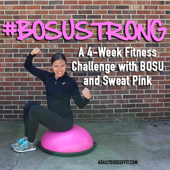Fit Approach , BOSU Trainer, Fitness, FitFluential FitFamily